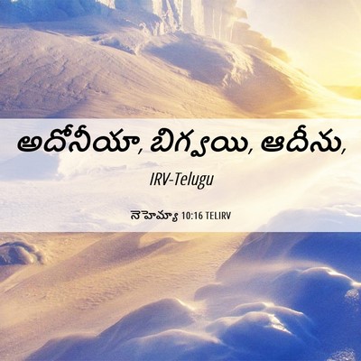 Picture 06 - నెహెమ్యా 10:16 TELIRV - అదోనీయా, బిగ్వయి, - Bible Verse Picture