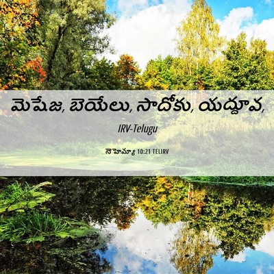 Picture 06 - నెహెమ్యా 10:21 TELIRV - మెషేజ, బెయేలు, - Bible Verse Picture