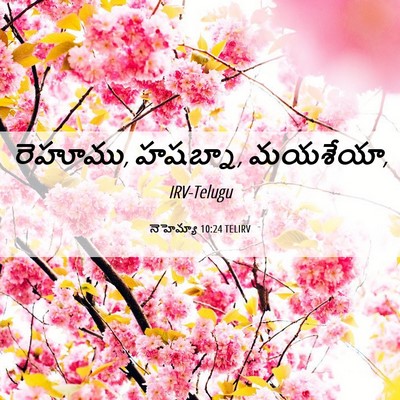 Picture 06 - నెహెమ్యా 10:24 TELIRV - రెహూము, హషబ్నా, - Bible Verse Picture