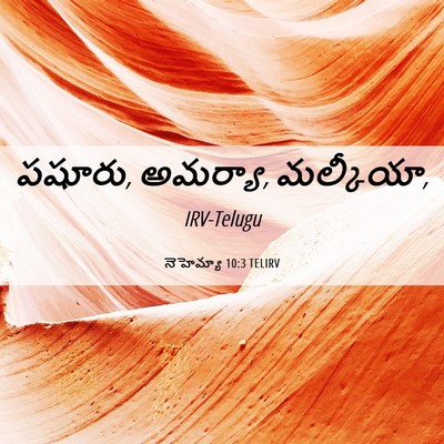 Picture 06 - నెహెమ్యా 10:3 TELIRV - పషూరు, అమర్యా, - Bible Verse Picture