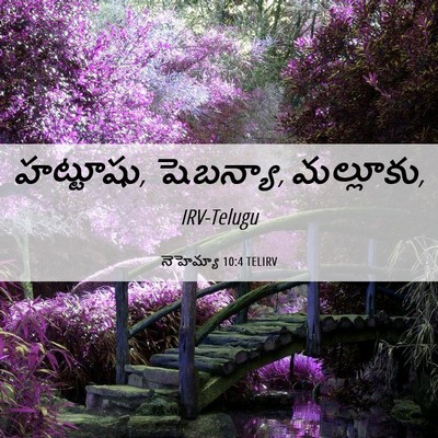 Picture 06 - నెహెమ్యా 10:4 TELIRV - హట్టూషు, షెబన్యా, - Bible Verse Picture