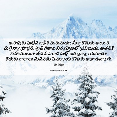 Picture 06 - నెహెమ్యా 11:17 TELIRV - ఆసాపుకు పుట్టిన - Bible Verse Picture
