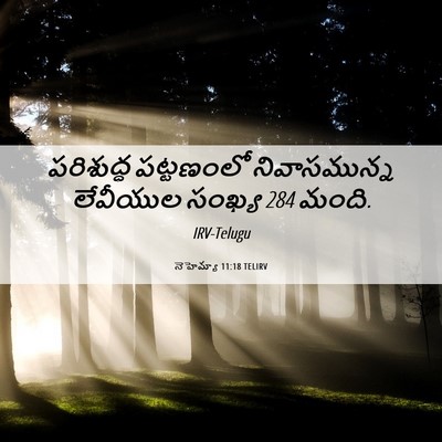 Picture 06 - నెహెమ్యా 11:18 TELIRV - పరిశుద్ధ పట్టణంలో - Bible Verse Picture
