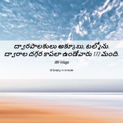 Picture 06 - నెహెమ్యా 11:19 TELIRV - ద్వారపాలకులు - Bible Verse Picture
