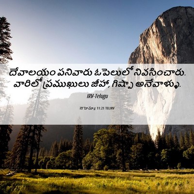 Picture 06 - నెహెమ్యా 11:21 TELIRV - దేవాలయం పనివారు - Bible Verse Picture