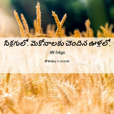 Picture 06 - నెహెమ్యా 11:28 TELIRV - సిక్లగులో, - Bible Verse Picture