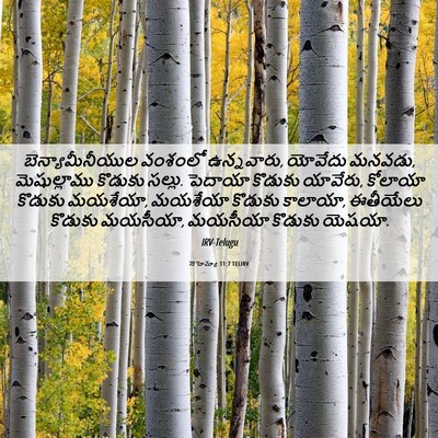 Picture 06 - నెహెమ్యా 11:7 TELIRV - బెన్యామీనీయుల - Bible Verse Picture