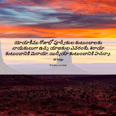 Picture 06 - నెహెమ్యా 12:12 TELIRV - యోయాకీము రోజుల్లో - Bible Verse Picture