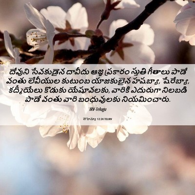 Picture 06 - నెహెమ్యా 12:24 TELIRV - దేవుని సేవకుడైన - Bible Verse Picture