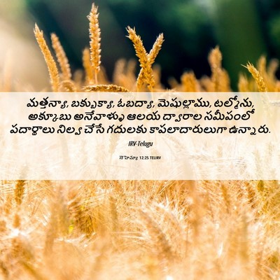 Picture 06 - నెహెమ్యా 12:25 TELIRV - మత్తన్యా, - Bible Verse Picture