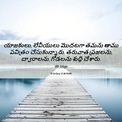 Picture 06 - నెహెమ్యా 12:30 TELIRV - యాజకులు, లేవీయులు - Bible Verse Picture