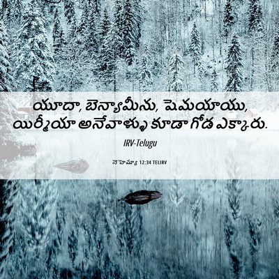 Picture 06 - నెహెమ్యా 12:34 TELIRV - యూదా, బెన్యామీను, - Bible Verse Picture