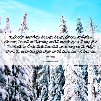 Picture 06 - నెహెమ్యా 12:36 TELIRV - షెమయా, అజరేలు, - Bible Verse Picture