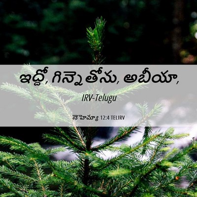 Picture 06 - నెహెమ్యా 12:4 TELIRV - ఇద్దో, గిన్నెతోను, - Bible Verse Picture