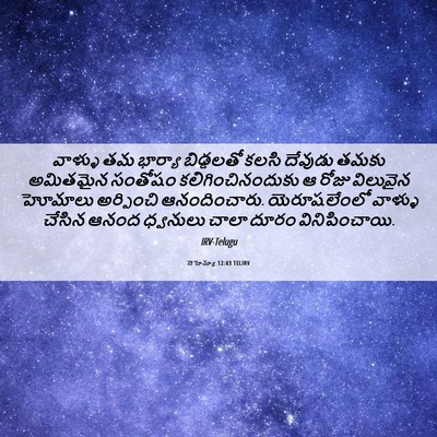 Picture 06 - నెహెమ్యా 12:43 TELIRV - వాళ్ళు తమ భార్యా - Bible Verse Picture