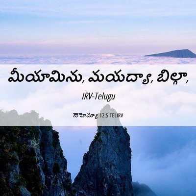 Picture 06 - నెహెమ్యా 12:5 TELIRV - మీయామిను, మయద్యా, - Bible Verse Picture