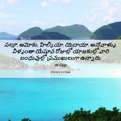 Picture 06 - నెహెమ్యా 12:7 TELIRV - సల్లూ, ఆమోకు, - Bible Verse Picture