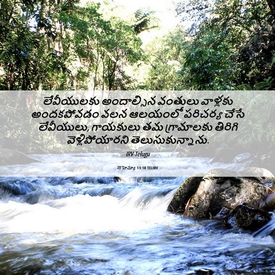 Picture 06 - నెహెమ్యా 13:10 TELIRV - లేవీయులకు - Bible Verse Picture
