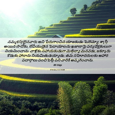 Picture 06 - నెహెమ్యా 13:13 TELIRV - నమ్మకస్తులైనవారు - Bible Verse Picture