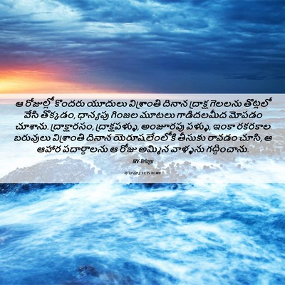Picture 06 - నెహెమ్యా 13:15 TELIRV - ఆ రోజుల్లో కొందరు - Bible Verse Picture
