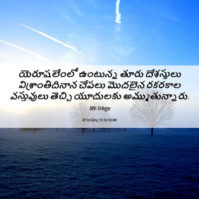 Picture 06 - నెహెమ్యా 13:16 TELIRV - యెరూషలేంలో - Bible Verse Picture