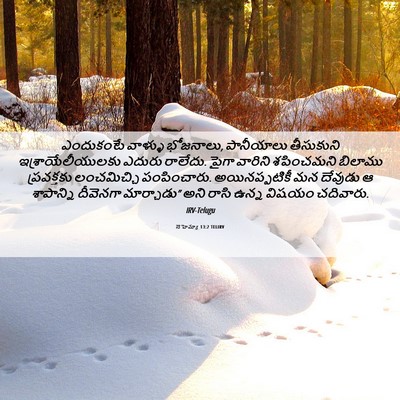 Picture 06 - నెహెమ్యా 13:2 TELIRV - ఎందుకంటే వాళ్ళు - Bible Verse Picture