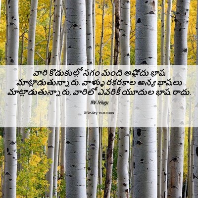 Picture 06 - నెహెమ్యా 13:24 TELIRV - వారి కొడుకుల్లో - Bible Verse Picture