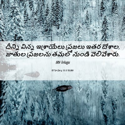 Picture 06 - నెహెమ్యా 13:3 TELIRV - దీన్ని విన్న - Bible Verse Picture