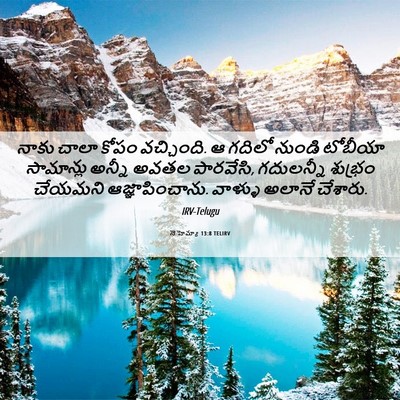 Picture 06 - నెహెమ్యా 13:8 TELIRV - నాకు చాలా కోపం - Bible Verse Picture