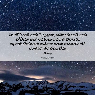 Picture 06 - నెహెమ్యా 2:10 TELIRV - హోరోనీ జాతివాడు - Bible Verse Picture