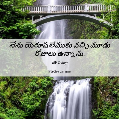 Picture 06 - నెహెమ్యా 2:11 TELIRV - నేను యెరూషలేముకు - Bible Verse Picture