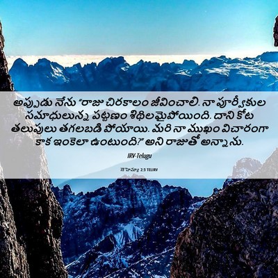 Picture 06 - నెహెమ్యా 2:3 TELIRV - అప్పుడు నేను - Bible Verse Picture