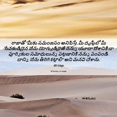 Picture 06 - నెహెమ్యా 2:5 TELIRV - రాజుతో “మీకు - Bible Verse Picture