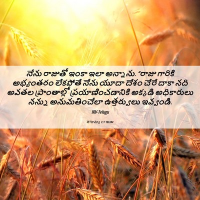 Picture 06 - నెహెమ్యా 2:7 TELIRV - నేను రాజుతో ఇంకా - Bible Verse Picture