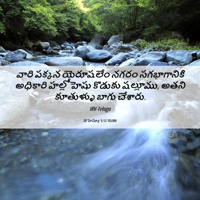 Picture 06 - నెహెమ్యా 3:12 TELIRV - వారి పక్కన - Bible Verse Picture