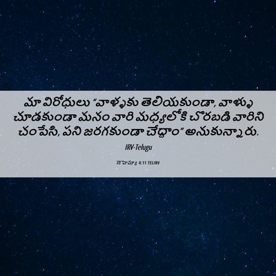 Picture 06 - నెహెమ్యా 4:11 TELIRV - మా విరోధులు - Bible Verse Picture