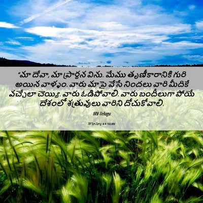Picture 06 - నెహెమ్యా 4:4 TELIRV - “మా దేవా, మా - Bible Verse Picture