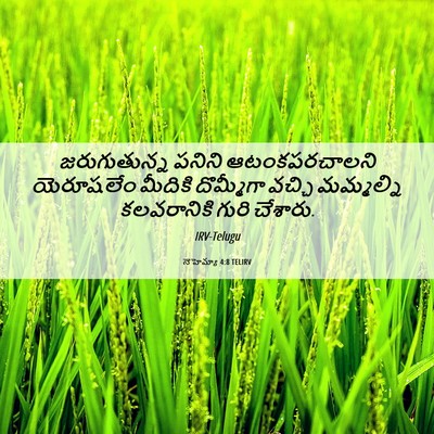 Picture 06 - నెహెమ్యా 4:8 TELIRV - జరుగుతున్న పనిని - Bible Verse Picture