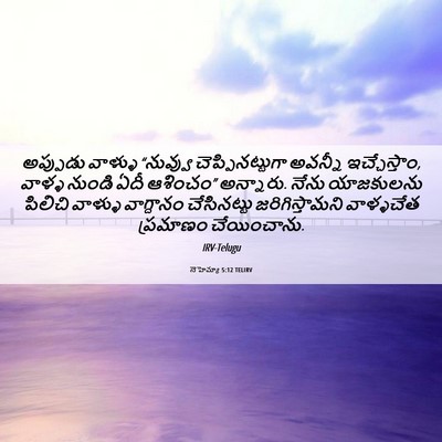 Picture 06 - నెహెమ్యా 5:12 TELIRV - అప్పుడు వాళ్ళు - Bible Verse Picture