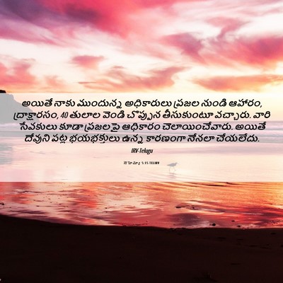 Picture 06 - నెహెమ్యా 5:15 TELIRV - అయితే నాకు - Bible Verse Picture