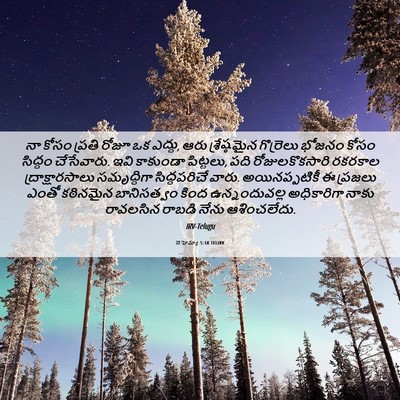Picture 06 - నెహెమ్యా 5:18 TELIRV - నా కోసం ప్రతి రోజూ - Bible Verse Picture