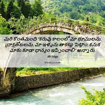 Picture 06 - నెహెమ్యా 5:3 TELIRV - మరి కొంతమంది - Bible Verse Picture