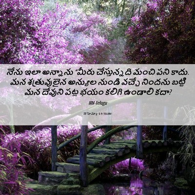 Picture 06 - నెహెమ్యా 5:9 TELIRV - నేను ఇలా అన్నాను - Bible Verse Picture