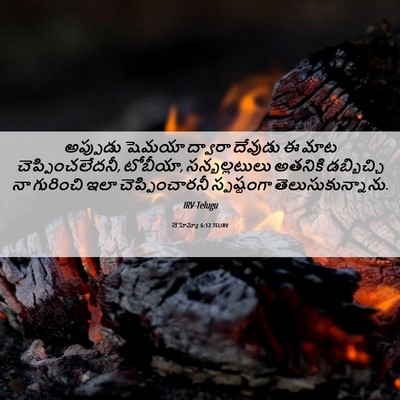 Picture 06 - నెహెమ్యా 6:12 TELIRV - అప్పుడు షెమయా - Bible Verse Picture
