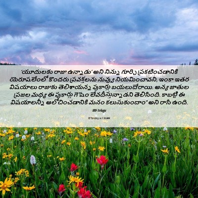 Picture 06 - నెహెమ్యా 6:7 TELIRV - ‘యూదులకు రాజు - Bible Verse Picture