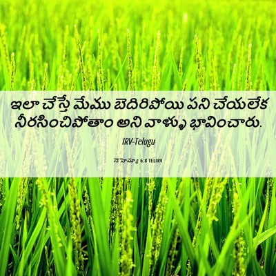 Picture 06 - నెహెమ్యా 6:8 TELIRV - ఇలా చేస్తే మేము - Bible Verse Picture