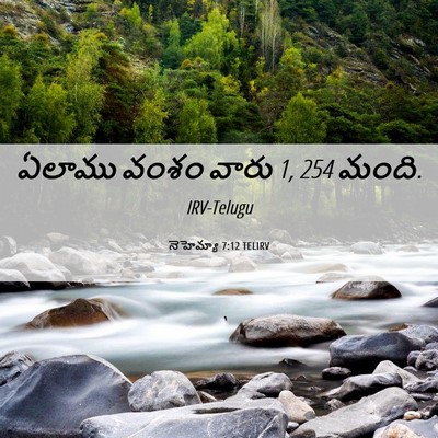 Picture 06 - నెహెమ్యా 7:12 TELIRV - ఏలాము వంశం వారు 1, 254 - Bible Verse Picture