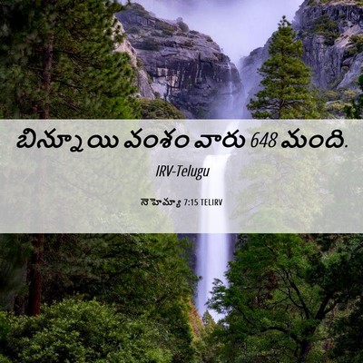 Picture 06 - నెహెమ్యా 7:15 TELIRV - బిన్నూయి వంశం - Bible Verse Picture