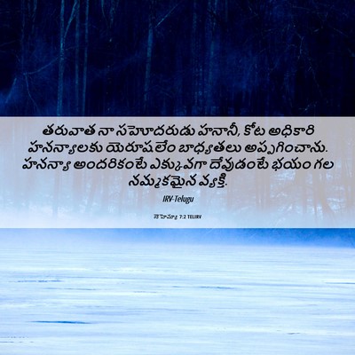 Picture 06 - నెహెమ్యా 7:2 TELIRV - తరువాత నా - Bible Verse Picture