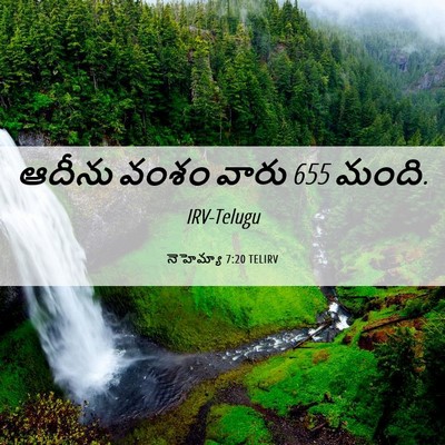 Picture 06 - నెహెమ్యా 7:20 TELIRV - ఆదీను వంశం వారు 655 - Bible Verse Picture